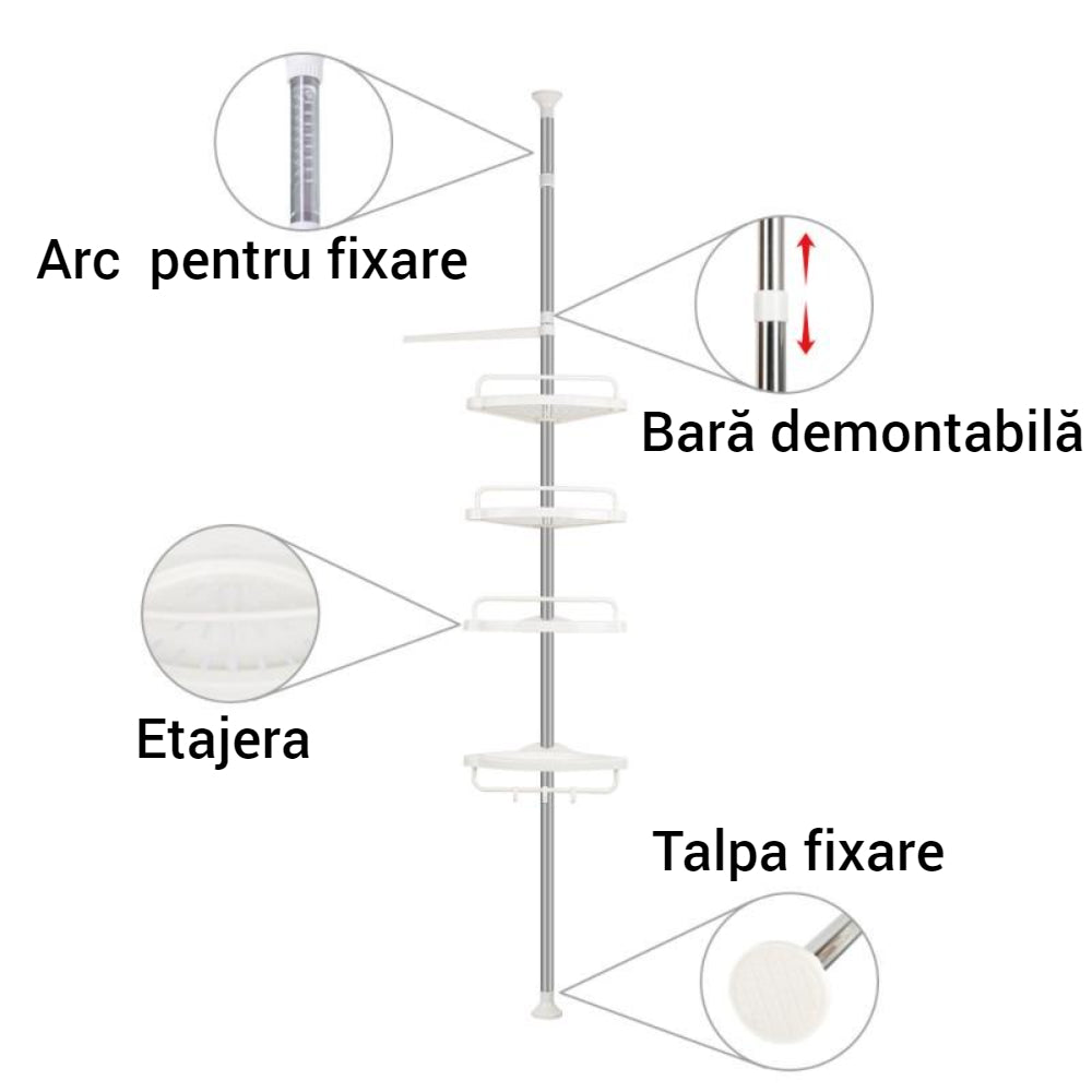 afe393e9-06bf-447d-8097-d5580eaceb8a_1