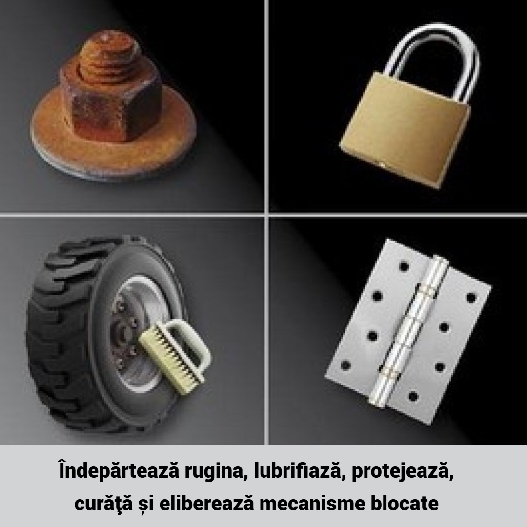 51446368-6c6d-4eae-956e-e6afd890d12f_5