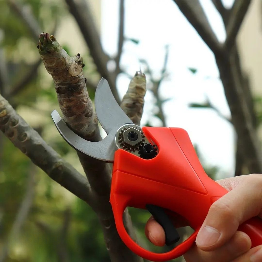 f1121c82-c582-48e9-9146-fb4ec82aa2fc_4