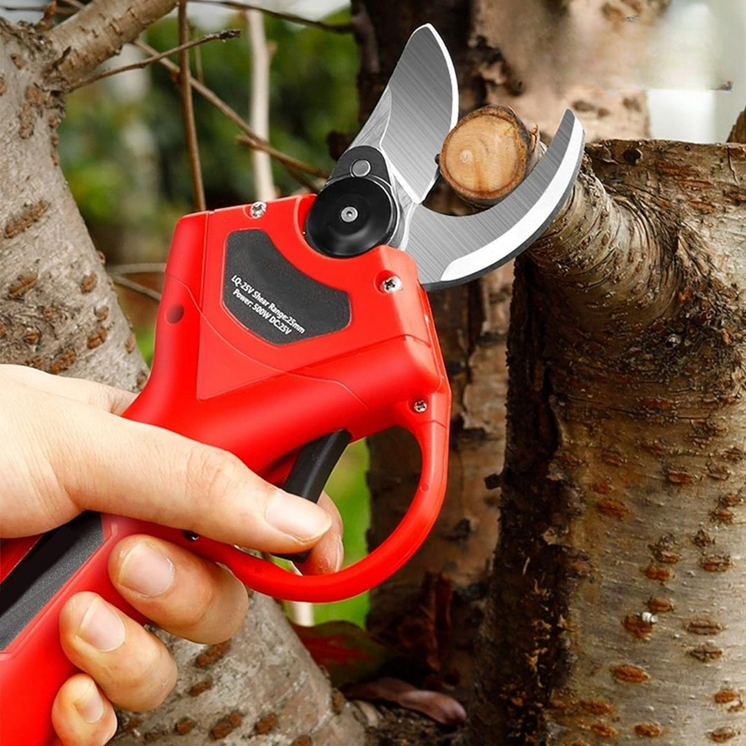 f1121c82-c582-48e9-9146-fb4ec82aa2fc_3